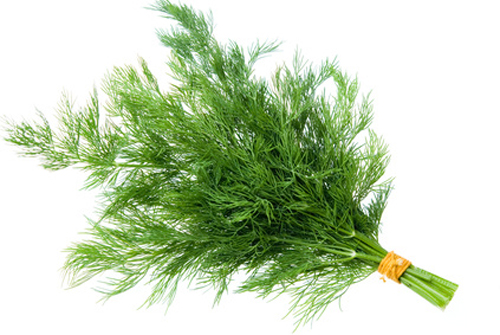 benefits of dill